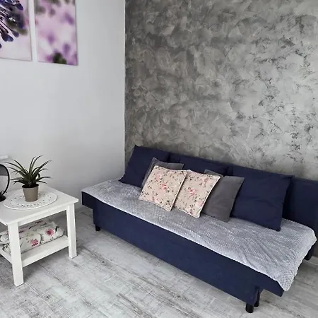 Nowe Apartment Maniowy